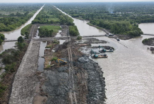 Halo Pemerintah, Petambak Dipasena Butuh Bantuan Bibit Mangrove untuk Dukung Revitalisasi
