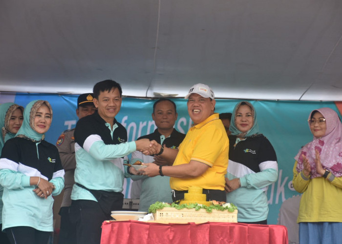 Peringati HKN, Begini Pesan Wakil Bupati Lampung Timur Kepada Para Nakes