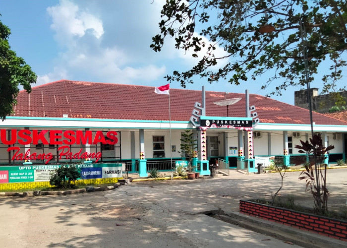 Kabupaten di Lampung Ini Ternyata Punya 19 Puskesmas Rawat Inap, Bagaimana Fasilitasnya?