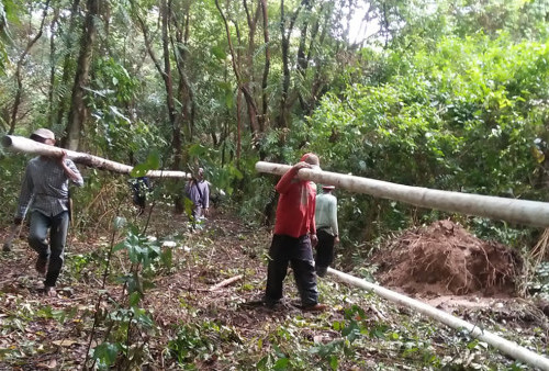 Saluran Air Dirusak Gajah, 300 KK di Bandar Negeri Suoh Kesulitan Air