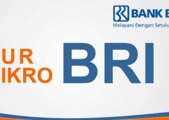 Keuntungan KUR BRI Bersubsidi Pemerintah Bunga Rendah 