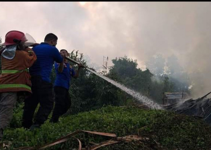 Meski Cuaca Panas Begitu Ekstrim, Lahan Gambut di Mesuji Masih Basah