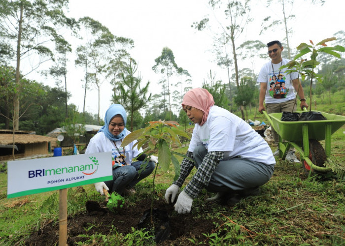 Top! BRI Tercatat Sebagai Bank di Indonesia Dengan Pengelolaan Risiko ESG Terbaik
