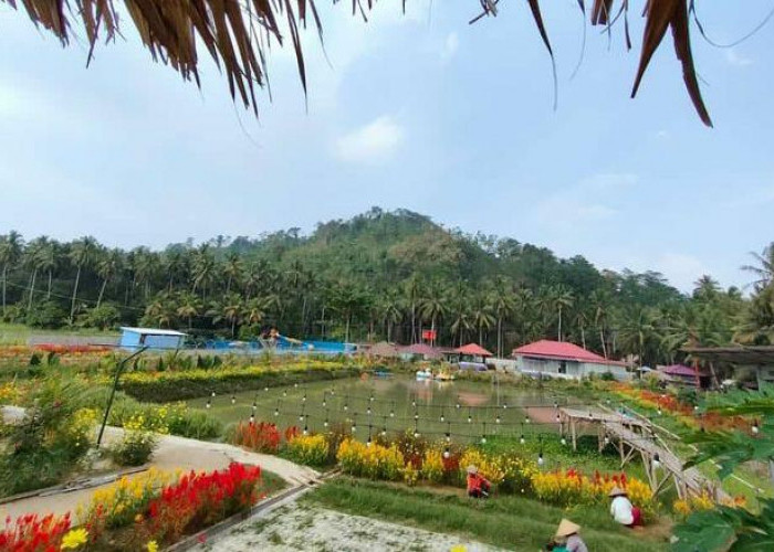 4 Wisata Lampung yang Seru dan Murah Biaya Mulai dari Rp10 Ribu, Ini Lokasinya