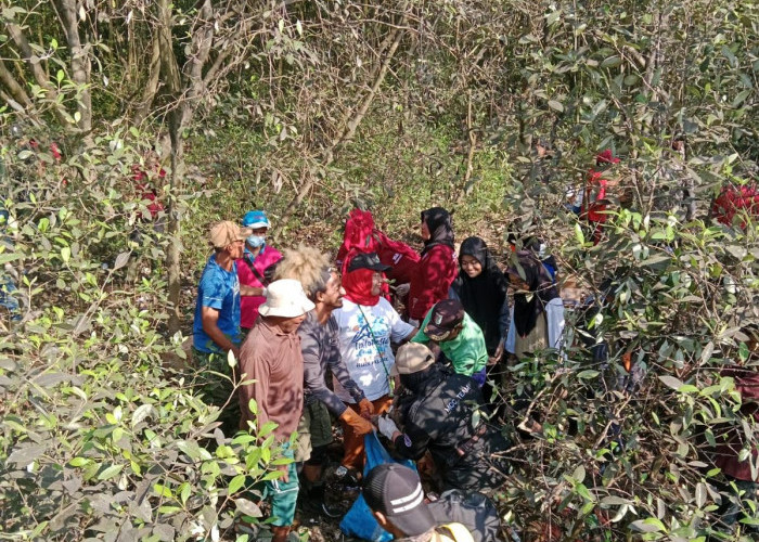 Warga Kompak Bersih-bersih Sampah di Pulau Pasaran, Tapi Kok....