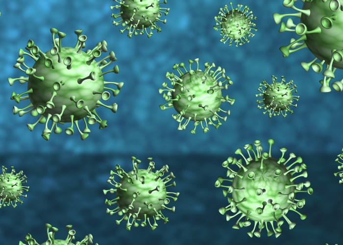 Awas Keliru, Begini Cara Membedakan Flu Singapura Dengan Cacar Air yang Menyerang Anak