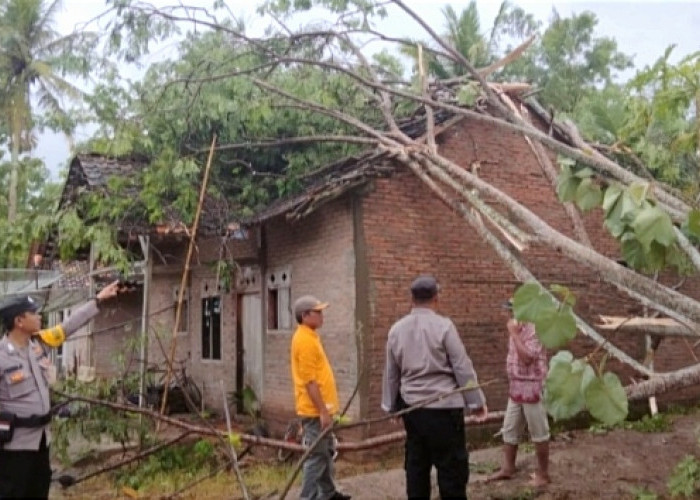 Ini Kondisi Terkini Pasca Puting Beliung di Pringsewu 