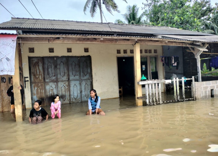 Akses Jalan Tersendat, Puluhan Rumah di Negeri Ratu Ngambur Terdampak Banjir