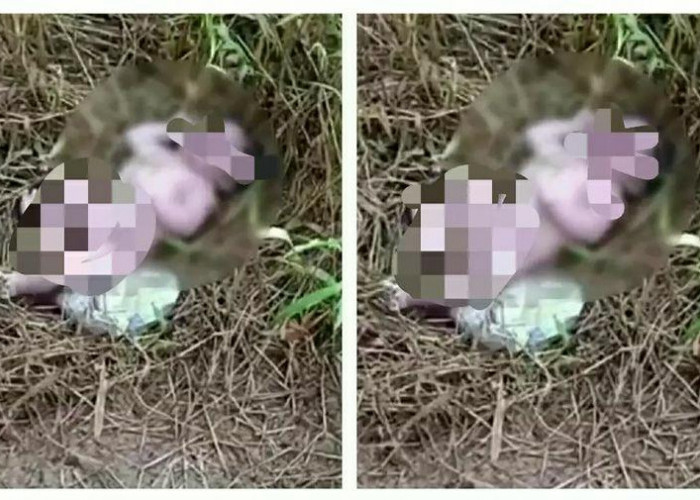 Bikin Geger, Warga Kubu Raya Temukan Bayi Laki-Laki di Semak-Semak Kebun 