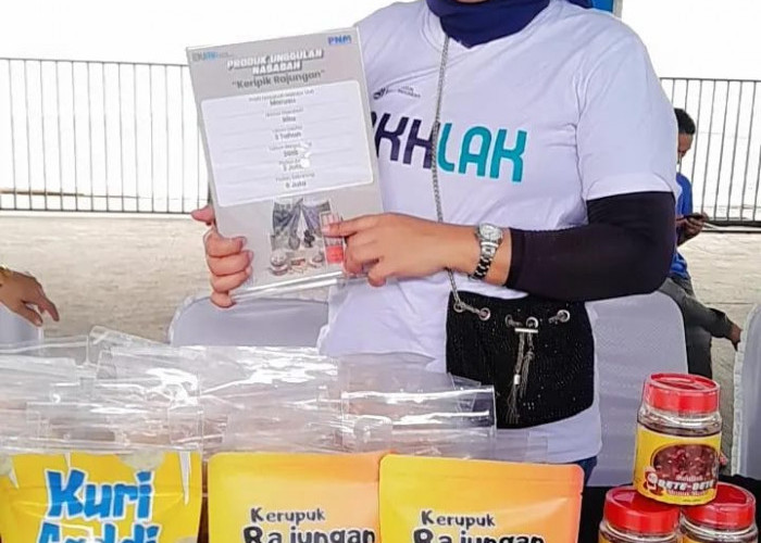 Viral Karena Dibanggakan Presiden Jokowi di BRI Microfinance Outlook, Ini Kisah Inspiratif UMKM Naik Kelas