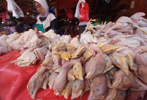 KPPU Pantau Harga Komoditas Pengaruhi Inflasi Lampung