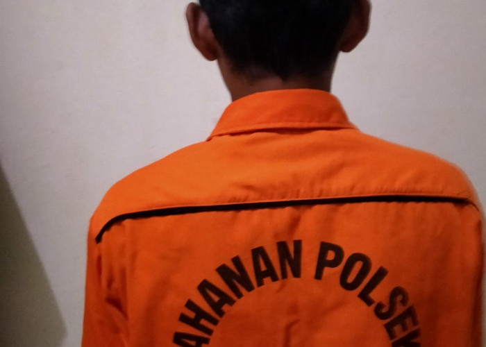 Terbawa Suasana Hujan, Remaja Asal Lampung Timur Cabuli Anak di Bawah Umur