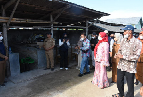 Eva Dwiana Minta Semua Kandang di Bandar Lampung Disemprot Disinfektan