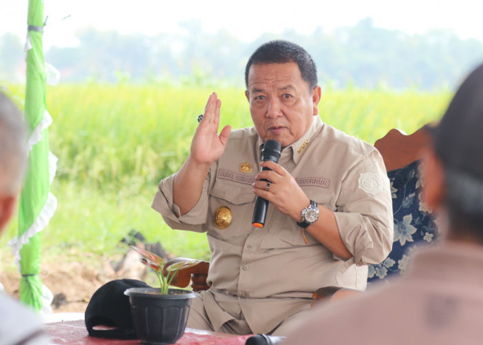 Jelang Panen, Gubernur Arinal Ingatkan Petani Tidak Jual Gabah, Ternyata Ini Alasannya