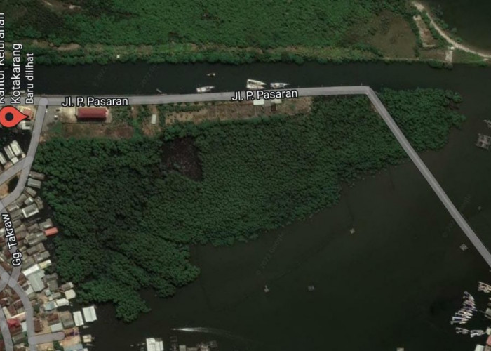 Pemkot Bandar Lampung Akan Bangun Walking Trail Hutan Mangrove di Kota Karang