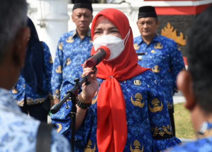 Pemda Ramai-ramai Larang ASN Gunakan Gas Elpiji 3 Kg, Bagaimana dengan Bandar Lampung?