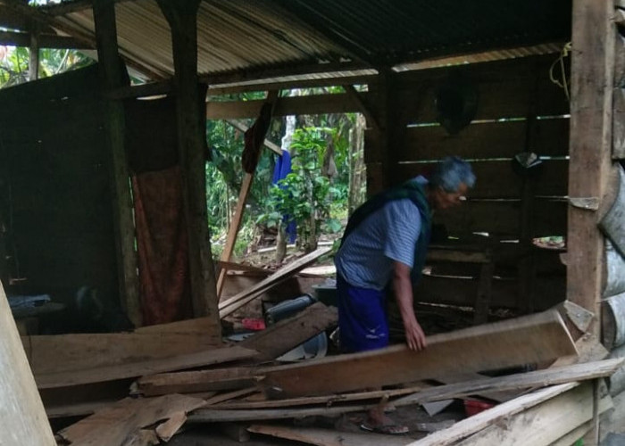 Diseruduk Gajah, Rumah Warga Suoh Lampung Barat Nyaris Roboh