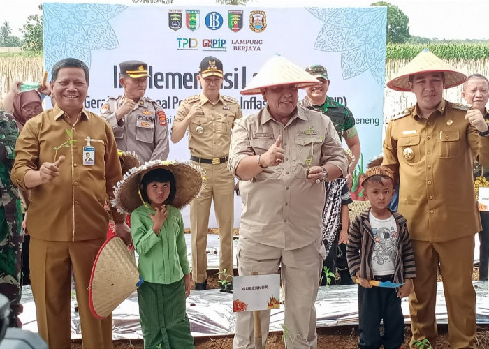 BI-Pemprov Lampung Laksanakan Program Gerakan Tanam Cabai di Pesawaran