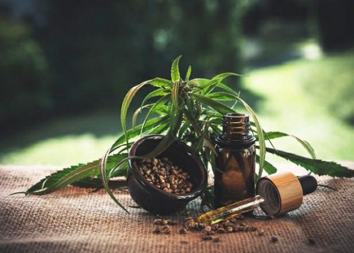Elon Musk Approves Marijuana Ads on Twitter; Here's The Reason