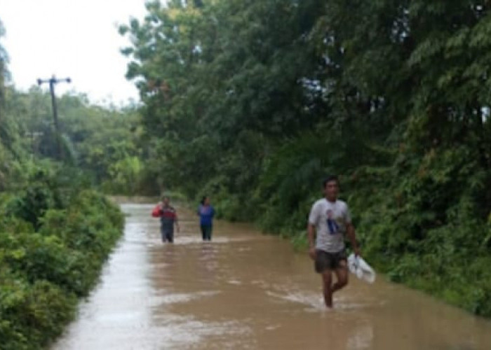 Curah Hujan Tinggi, Warga Way kanan Mulai Dihantui Banjir