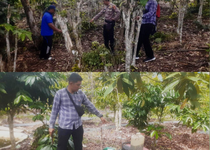 Polisi Amankan Lima Orang Pemasang Jeratan Babi yang Tewaskan Warga di Lumbok Seminung