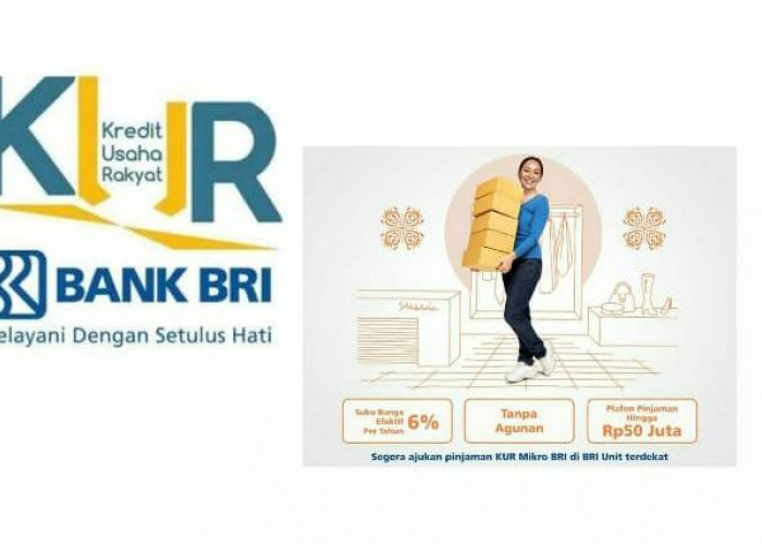 KUR Mikro Bank BRI: Keunggulan, Syarat dan Ketentuan, Limit Kredit Mencapai Rp50 Juta