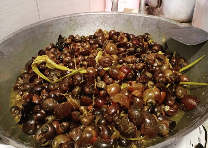 27 Deretan Makanan Khas Banyumas dengan Nama Unik,  Nomor 11 Cocok untuk Penikmat Olahan Keong 