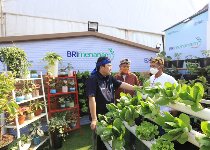 BRI Menanam : Targetkan Tanam 1,75 Juta Bibit Pohon Produktif Hingga 2023 untuk Pengurangan Emisi Karbon