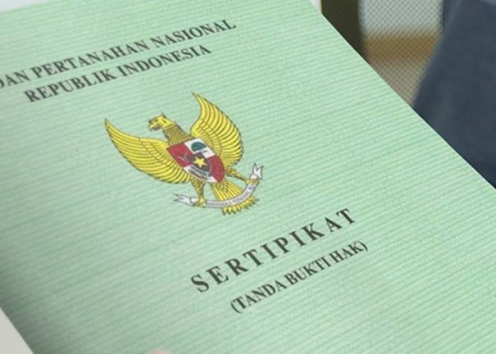 Soal Dugaan Penyerobotan Lahan di Puncak Siger Sari Ringgung, BPN Pesawaran Masih Olah Data 