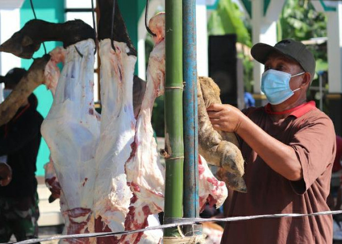 Jangan Sampai Salah! Ini Kategori Penerima Daging Kurban