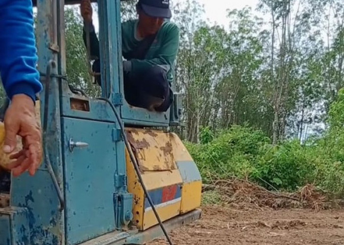 Lagi, Masyarakat Blambangan Umpu Keluhkan Kerusakan Hutan di Register 42