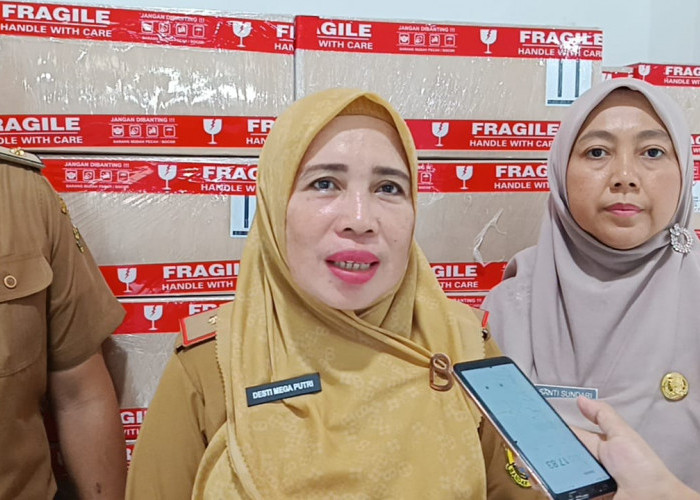 Musim Hujan, Diskes Bandar Lampung Ingatkan Masyarakat Untuk Waspada DBD