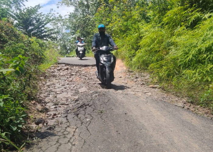 Jalan Penghubung Blambangan Umpu-Umpu Bhakti Segera Diperbaiki Pemkab Way Kanan