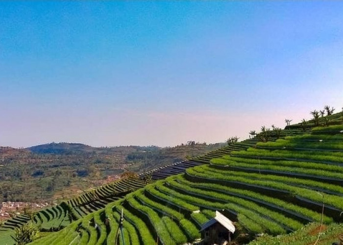 Cocok Bagi Pecinta Alam, Ini 10 Rekomendasi Wisata Saat Kamu di Majalengka