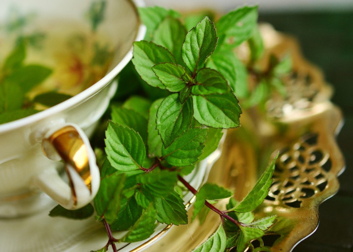 Ragam Tumbuhan Herbal Ini Ternyata Ampuh Atasi Bau Mulut