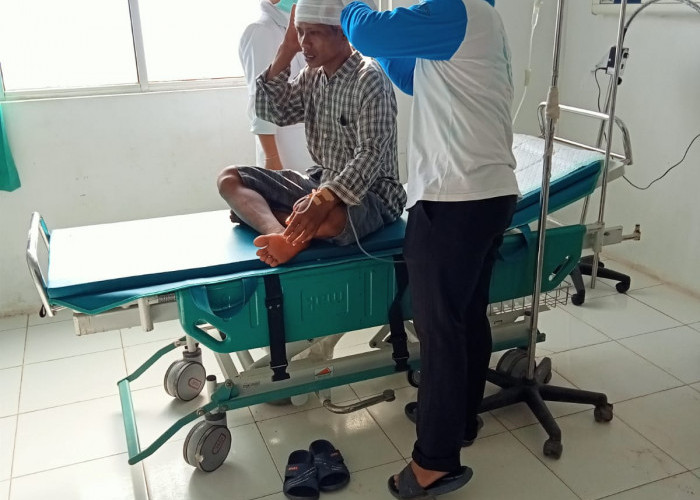 Naas, Seorang Nelayan di Mesuji Tergigit Buaya Ketika Hendak Mencari Ikan