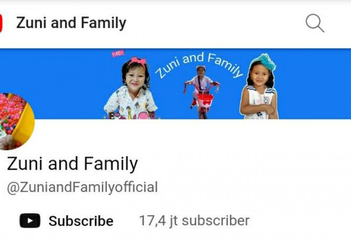 Bukan RANS Entertainment, Ternyata Ini Kanal YouTube dengan Adsense Terbesar di Tanah Air