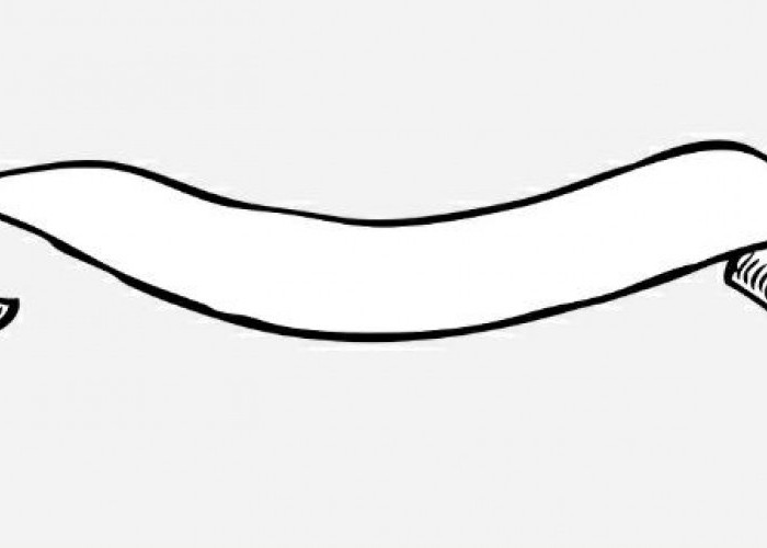 History of Paper Sizes and Their Proper Use