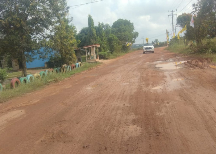 Waykanan Juga Ada Jalan Rusak Parah Loh