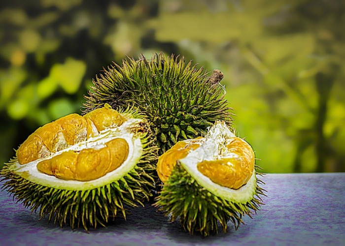 Mengenal Ragam Oleh-oleh Khas Lampung yang Menggugah Selera