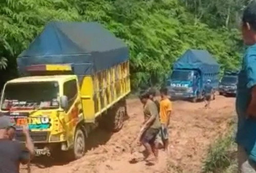 Tolong Pak! Belasan Kendaraan Terjebak di Suoh
