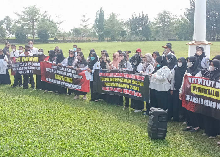Nasib Guru PPPK yang Lulus Passing Grade P1 Tak Ada Kepastian, Geruduk ke Kantor Bupati