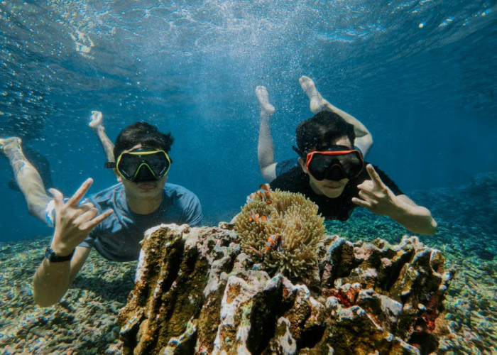 5 Wisata Bahari di Lampung yang Mempunyai Spot Snorkeling Menakjubkan