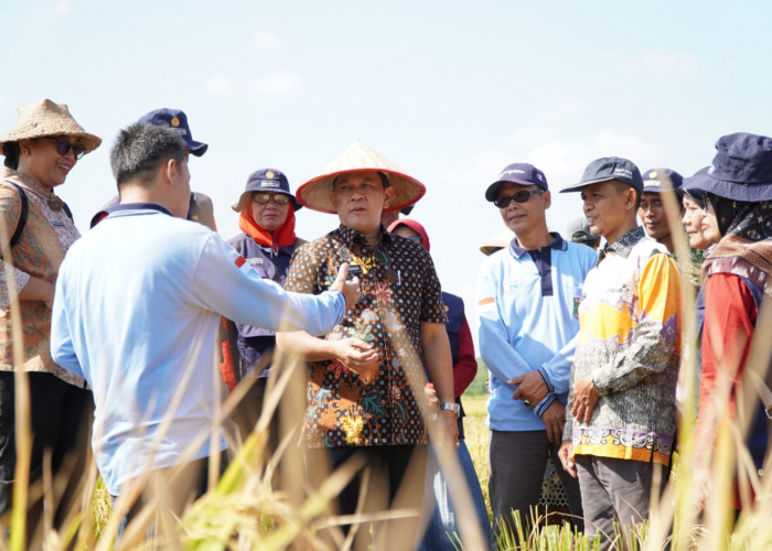 Dampak Elnino, Pj Bupati Tubaba Sampaikan Ini ke Petani