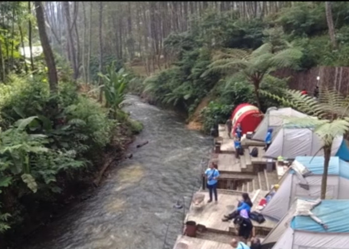 Valley Rahong 12 Camp Riverside di Hidden Gems Pangalengan, Berkemah dengan Pemandangan Alam Menawan