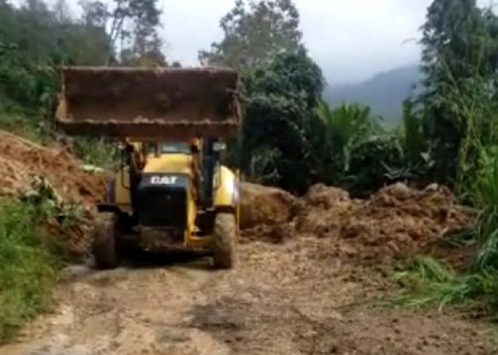 Baru Satu Titik Longsor di Jalan Penghubung Tanggamus-Lampung Barat Dibersihkan 