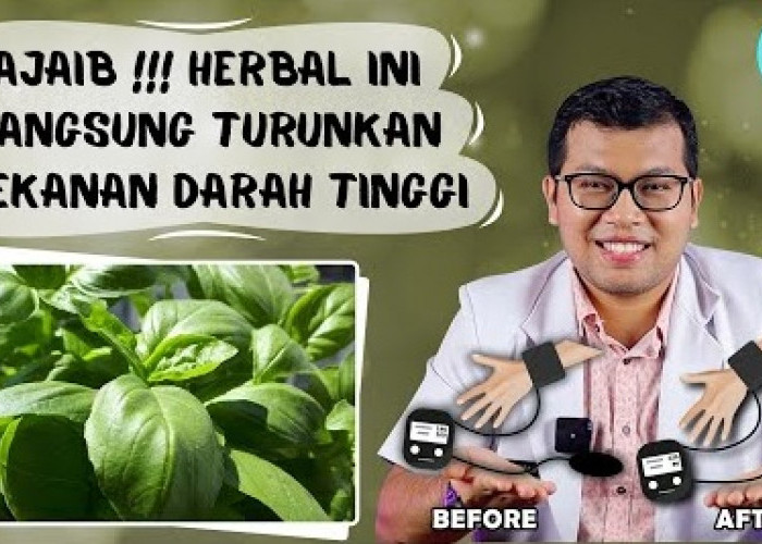 Ajaib! Ini Cara Menurunkan Darah Tinggi Dengan Bahan Alami Menurut dr. Saddam Ismail
