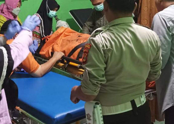 Grandmax Pengangkut Durian Bengkulu Masuk Jurang karena Tak Kuat Menanjak, 1 Orang Meninggal Dunia