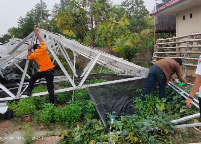 Hujan dan Angin Kencang di Mesuji, Rumah Warga Porak Poranda