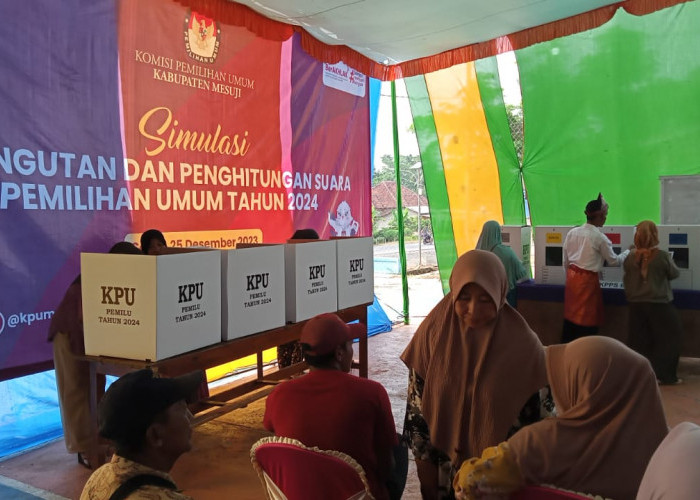 Pemilih Disabilitas di Mesuji Lampung Capai 1.160, Dapat Prioritas di TPS
